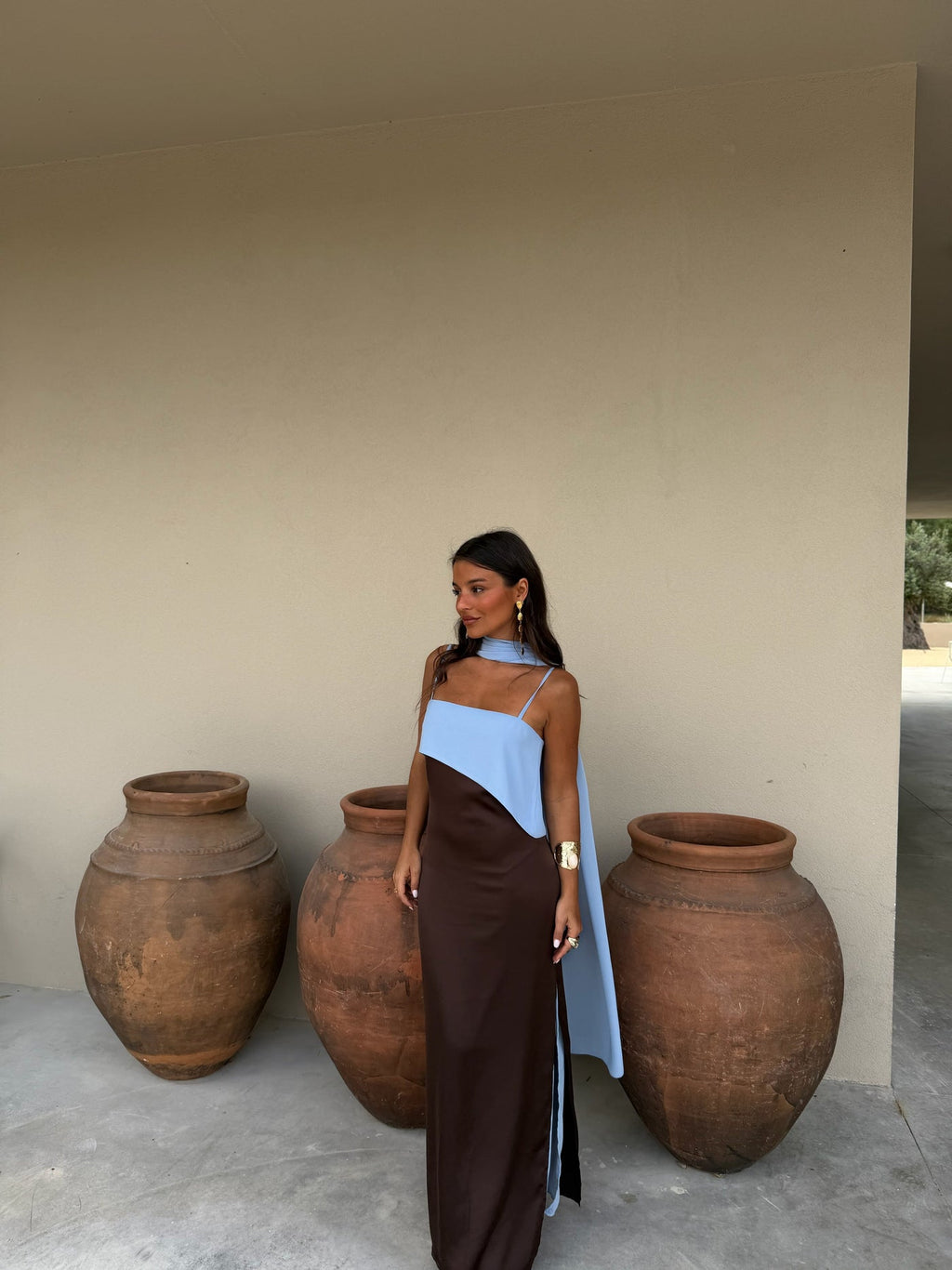 Sofía Vestido Marrón y Azul